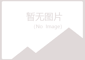 池州山柳咨询有限公司